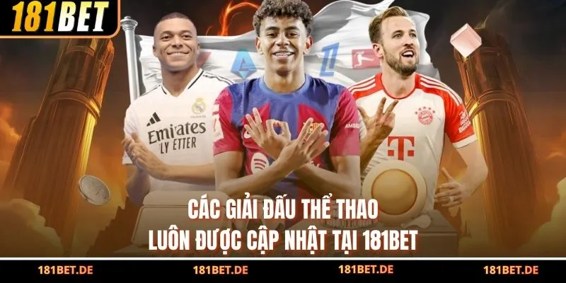 Các giải đấu thể thao luôn được cập nhật tại 181BET